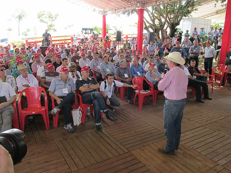 Criadores de sete estados se reúnem em MS em busca de tecnologia nutricional
