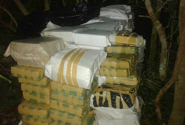 Foto: Divulgação PM