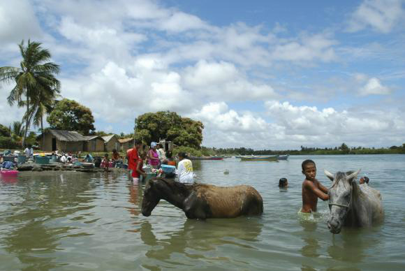 “Das  nascentes  [do Rio São Francisco],  hoje  deterioradas,  dependem  Cerrado,  Mata  Atlântica  e  Caatinga,além de  milhares  de  pescadores  e  espécies