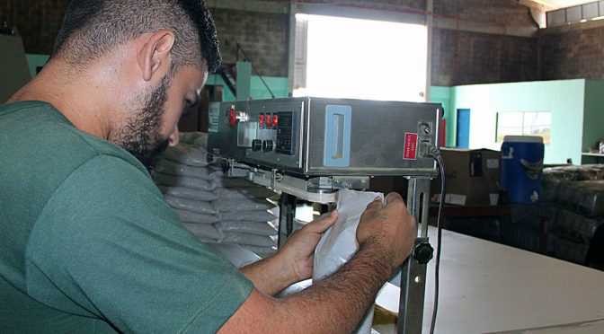 Tereré é fonte de trabalho e renda para detentos da Gameleira Foto: Divulgação