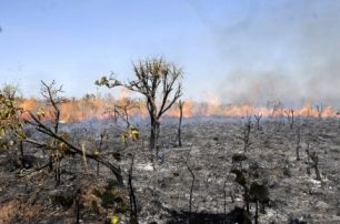 O Ministério do Meio Ambiente (MMA) entrou em estado de alerta por causa do período de queimadas, que começou neste mês e que se intensificará em agosto.