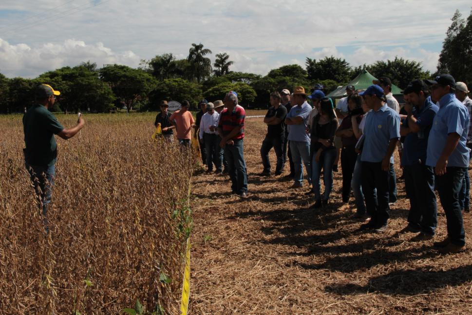 Agricultores de Amambai são orientados no Dia de Campo promovido pela Coopersa Agricultores de Amambai são orientados no Dia de Campo promovido pela Coopersa