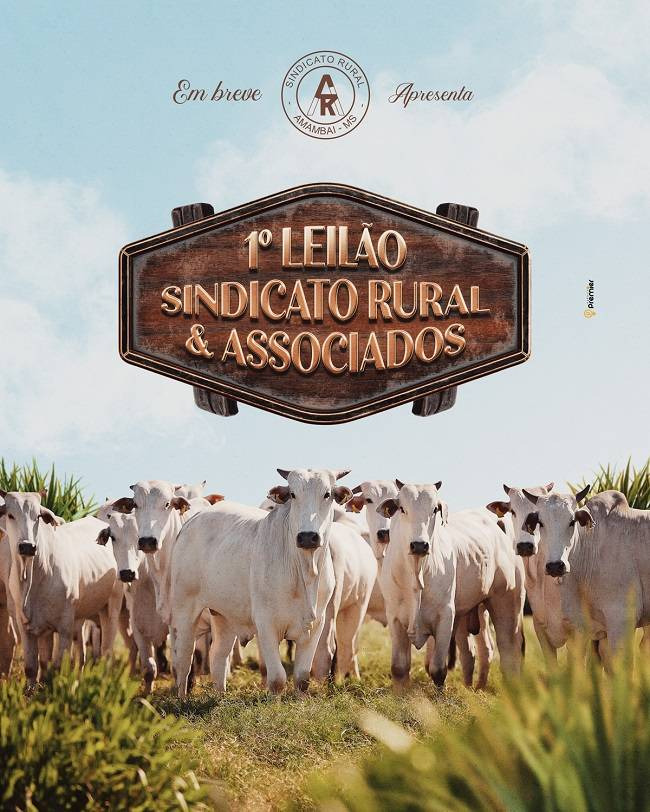Por conta da Covid-19, Leilão do Sindicato Rural de Amambai é adiado Foto: Sindicato Rural de Amambai