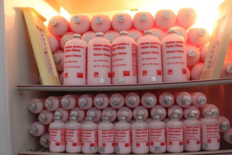 O sindicato das indústrias que fabricam a vacina não quis se manifestar sobre o assunto