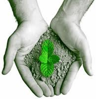 Código Florestal deve integrar agricultura e preservação ambiental.