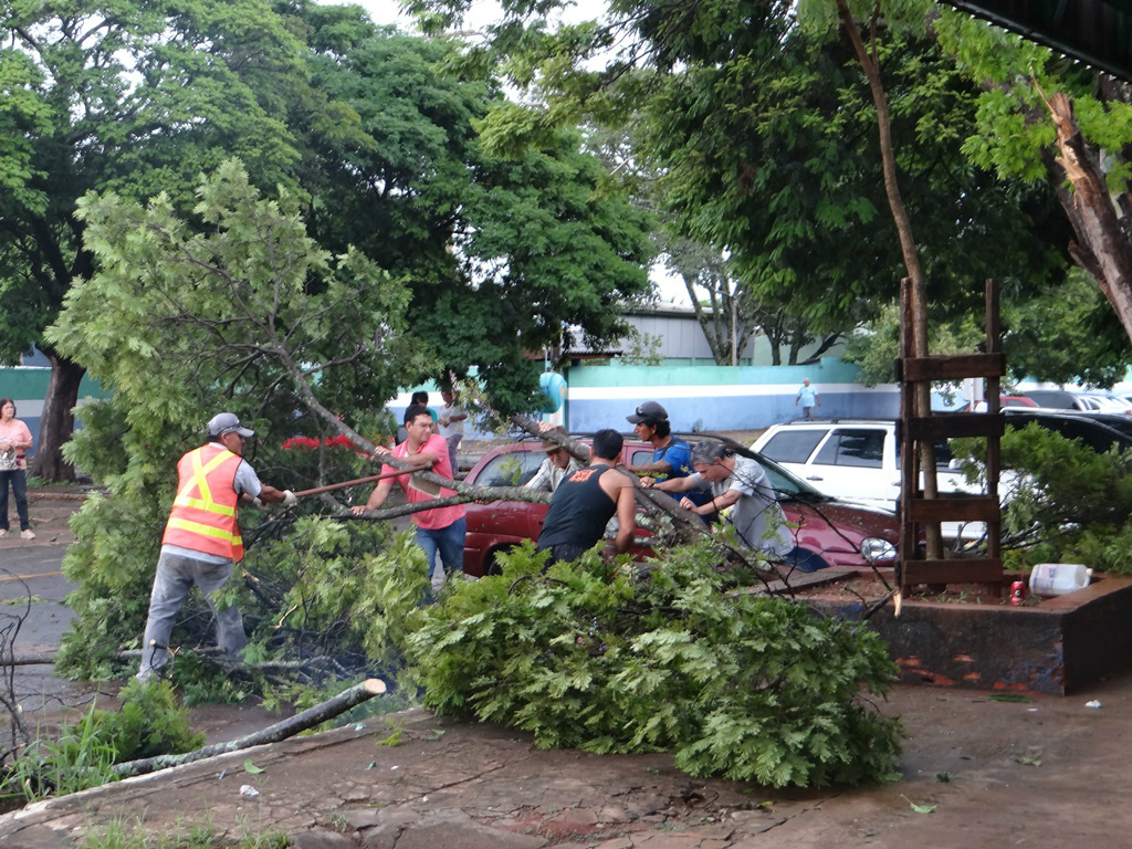 O Corpo de Bombeiros de Amambai, servidores da Enersul e voluntários auxiliaram na realização do mutirão.