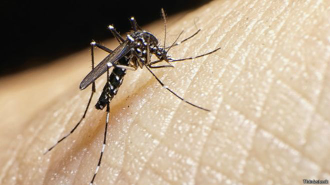 Zika: 3.700 casos levam Honduras a declarar estado de emergência nacional Zika: 3.700 casos levam Honduras a declarar estado de emergência nacional
