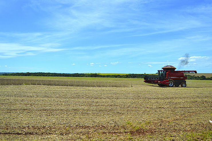 Colheita da soja atinge 10% em MS, alcançando 240 mil hectares Colheita da soja atinge 10% em MS, alcançando 240 mil hectares