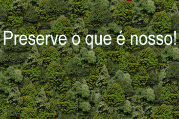 Dia Mundial do Meio Ambiente em 2011 tem como tema as Florestas