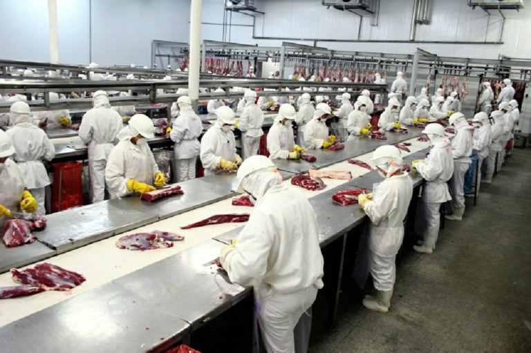 Ministério esclarece polêmicas sobre processamento de carnes brasileiras Segundo Mapa, o uso de aditivos e de partes da cabeça suína é permitidoFoto: Divulgação