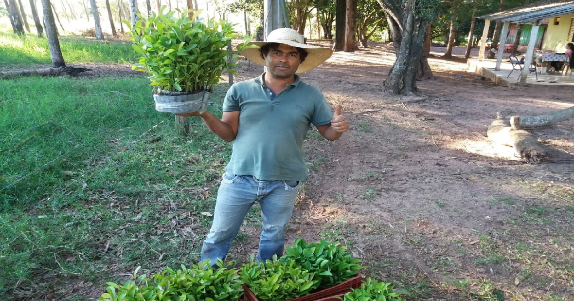 Foto: Arquivo Semagro