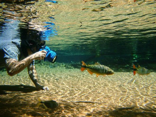 Pesquisa revela perfil e satisfação do turista durante FIB Divulgação