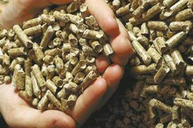 Geração de energia por biomassa no Brasil vai receber investimentos de US$ 26 bi