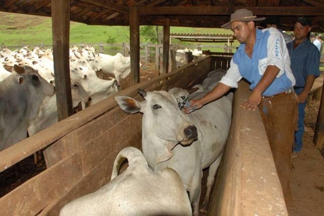 O prazo foi prorrogado por mais 15 dias / Foto: Divulgação