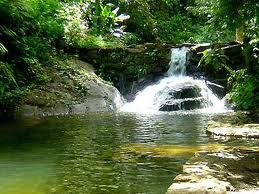 Municípios do litoral norte paulista sofrem com invasões em áreas