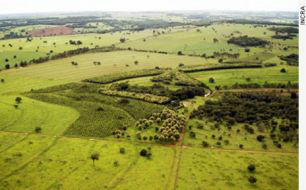 Venda de terras a estrangeiros volta à pauta