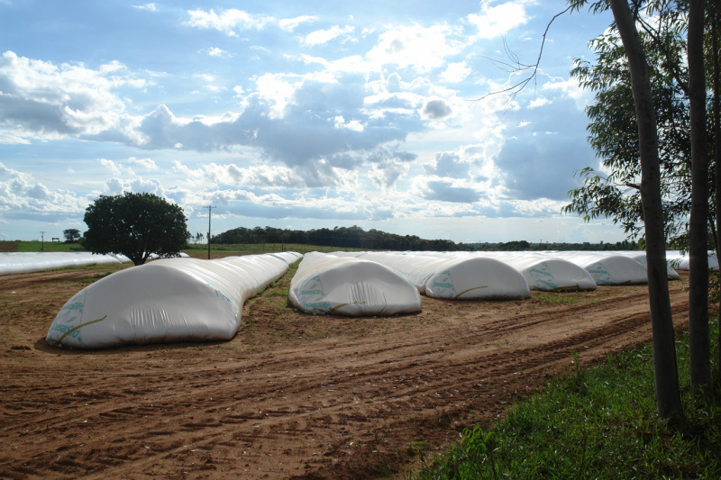 Silos-bolsas são alternativa para armazenagem de grãos Em comparação aos silos tradicionais, o sistema de silos-bolsa proporciona uma grande redução nos custos de armazenagem / Foto: Moreira Produções