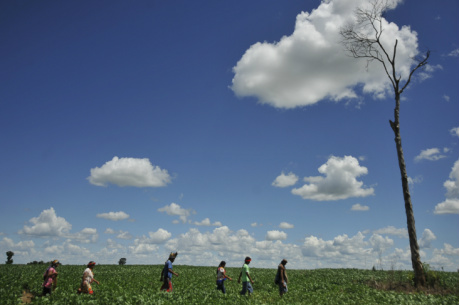 Conflitos no campo diminuíram em 2013