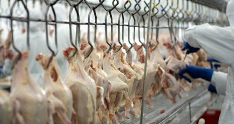 Governo reforça segurança do sistema nacional a países importadores de carne Medida visa assegurar aos importadores que produtos embarcados são seguros para consumoFoto: Divulgação