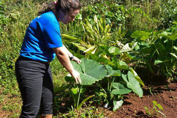 Mais de 14 milhões de mulheres que estão nas lavouras, comunidades quilombolas e indígenas, nas reservas extrativistas são protagonistas da agricultura familiar no Brasil 