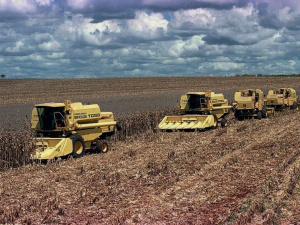 Safra brasileira foi recorde em 2012, mas houve deflação nos preços Safra brasileira foi recorde em 2012, mas houve deflação nos preços