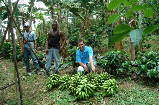 Projetos pró meio-ambiente terão R$ 688 milhões do BB Projetos pró meio-ambiente terão R$ 688 milhões do BB