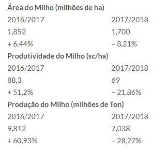 Estiagem derruba produtividade do milho e safra deste ano pode ficar 28% menor