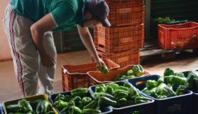 Brasil desperdiça 40 mil toneladas de alimento por dia Brasil é um dos dez países que mais perdem e desperdiçam alimentos no mundo