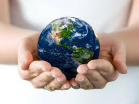 Microsoft e ONU criam programa para prever degradação ambiental