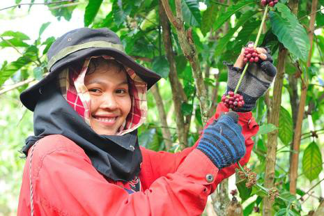 No Brasil, mulher representa um papel importante na agricultura familiarFoto: Divulgação 