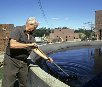 Foto: ONU/Evan Schneider