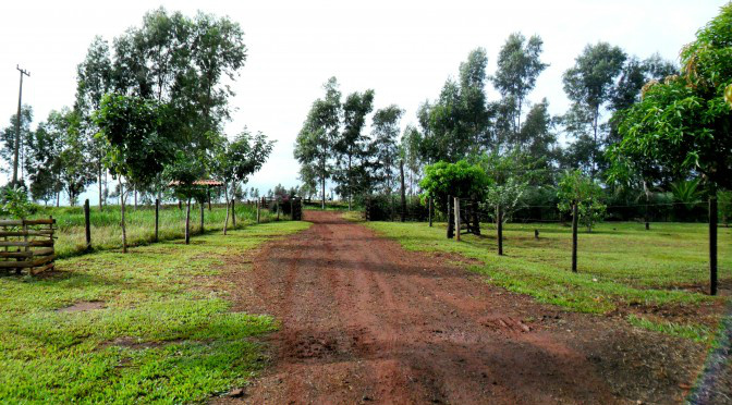 Para desmistificar o Cadastro Ambiental Rural, Governo do Estado promove ações Para desmistificar o Cadastro Ambiental Rural, Governo do Estado promove ações