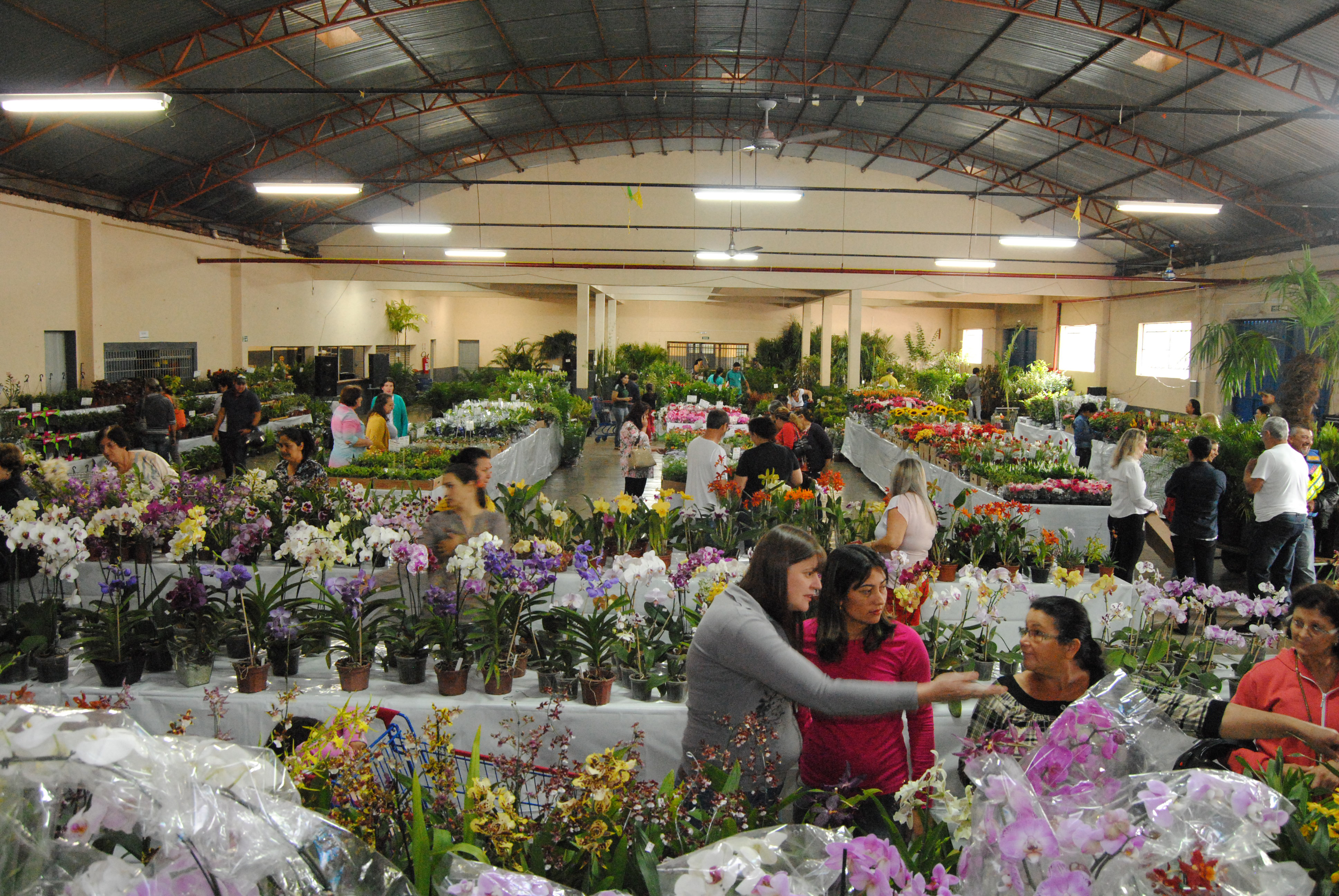 A Feira das Flores já se tornou tradição no município de Amambai / Foto: Moreira Produções