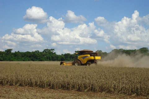 Colheita da safra 14/15 de soja tem atraso de 25% em MS frente a 13/14 Foto: Ascom Famasul