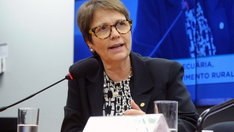 Ministra da Agricultura, Tereza Cristina / Foto: Divulgação