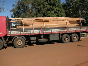 Empresa de Rondônia é multada em R$ 8,2 mil por transportar madeira ilegal