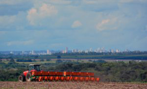 MS: safrinha de milho começa com boas perspectivas Foto: Divulgação