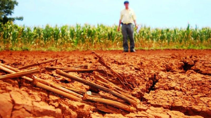 Seca no Nordeste prejudica produtores em áreas irrigadas