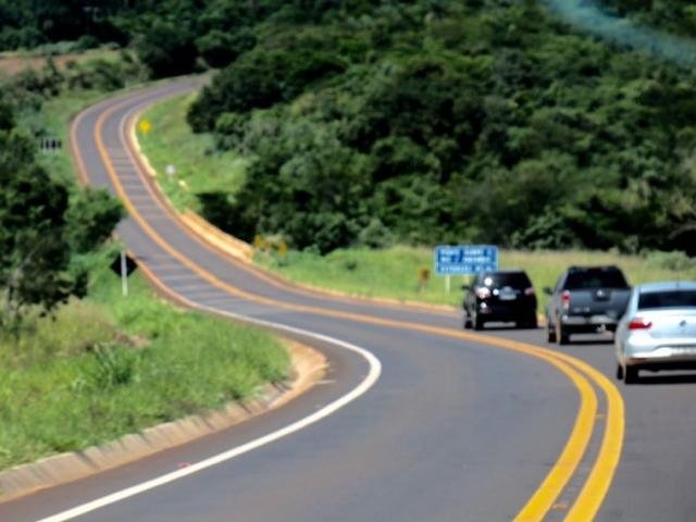 Vereador de Amambai solicita limpeza nas margens da MS-156 Vegetação alta nas margens da rodovia pode atrapalhar motoristas / Foto: Divulgação