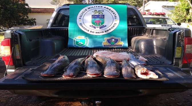 PMA prende e autua em R$ 2,5 mil infrator com pescado fora medida permitida PMA prende e autua em R$ 2,5 mil infrator com pescado fora medida permitida