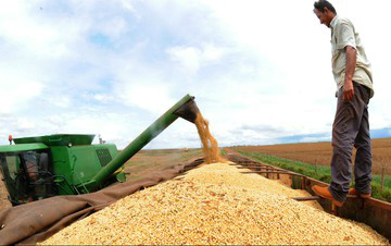 A demanda por produtos básicos (commodities), especialmente minérios e alimentos, continuará limitada