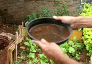 Saúde orienta famílias sobre prevenção contra a dengue no período de férias