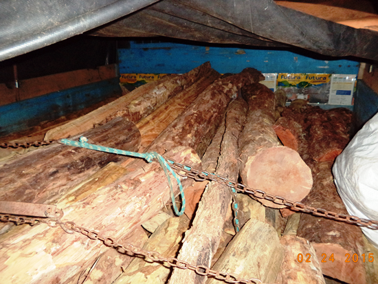 PMA autua proprietário de carga de madeira ilegal apreendida