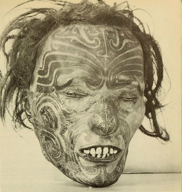 Mokomokai: conheça a história das cabeças preservadas dos Maoris Outro exemplo de mokomokaiFoto: Divulgação