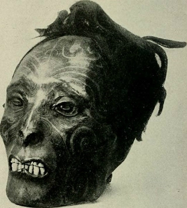 Mokomokai: conheça a história das cabeças preservadas dos Maoris Foto: Divulgação