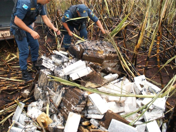 Queima de canavial revela mais de meia tonelada de maconha em Naviraí