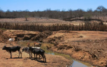 Reunião discute sobre o Atlas Mundial da Desertificação