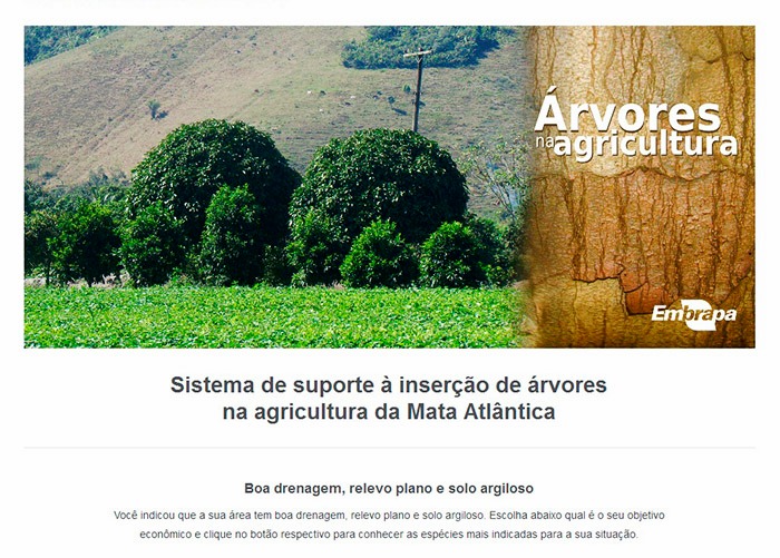 Site ajuda agricultor na escolha de árvores nativas da Mata Atlântica