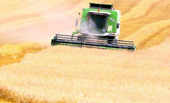 Produtividade agrícola brasileira cresceu 3,7 vezes em 35 anos