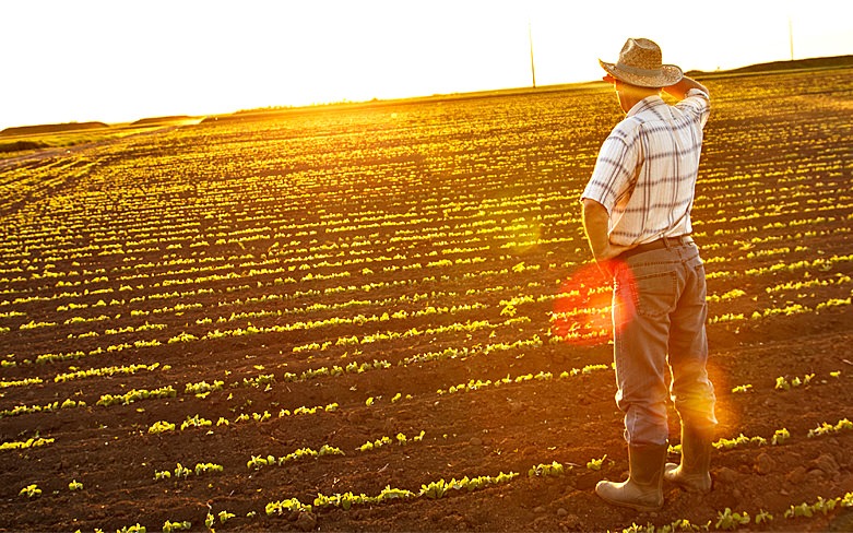 Governo libera mais de R$ 194 bilhões para Plano Agrícola 2018 Foto: Ilustração